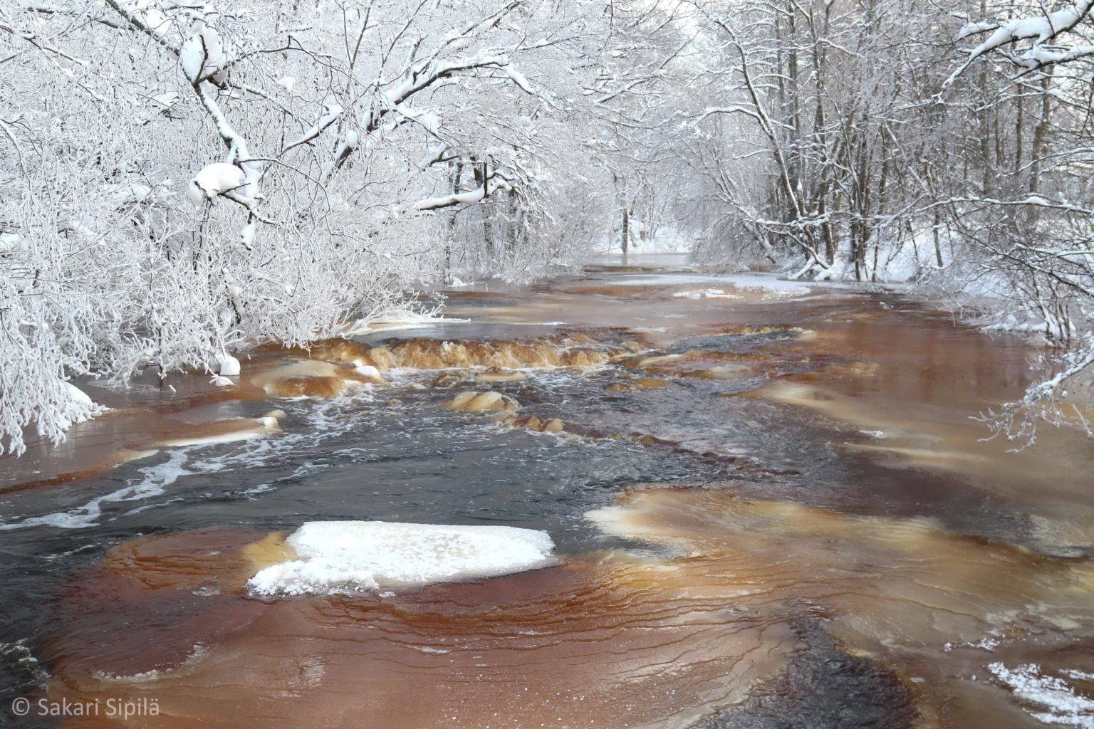 Valokuvaaja: Sakari Sipilä Valokuvaaja: Sakari Sipilä