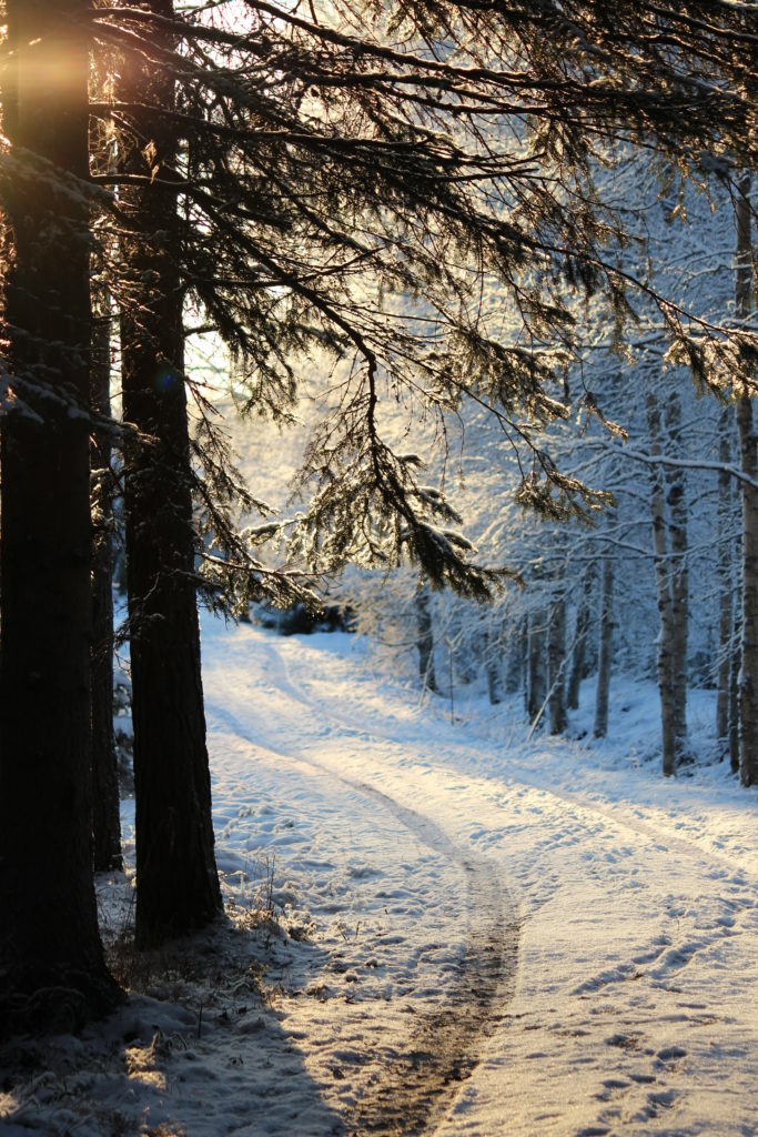 Valokuvaaja: Tiina Mäkinen