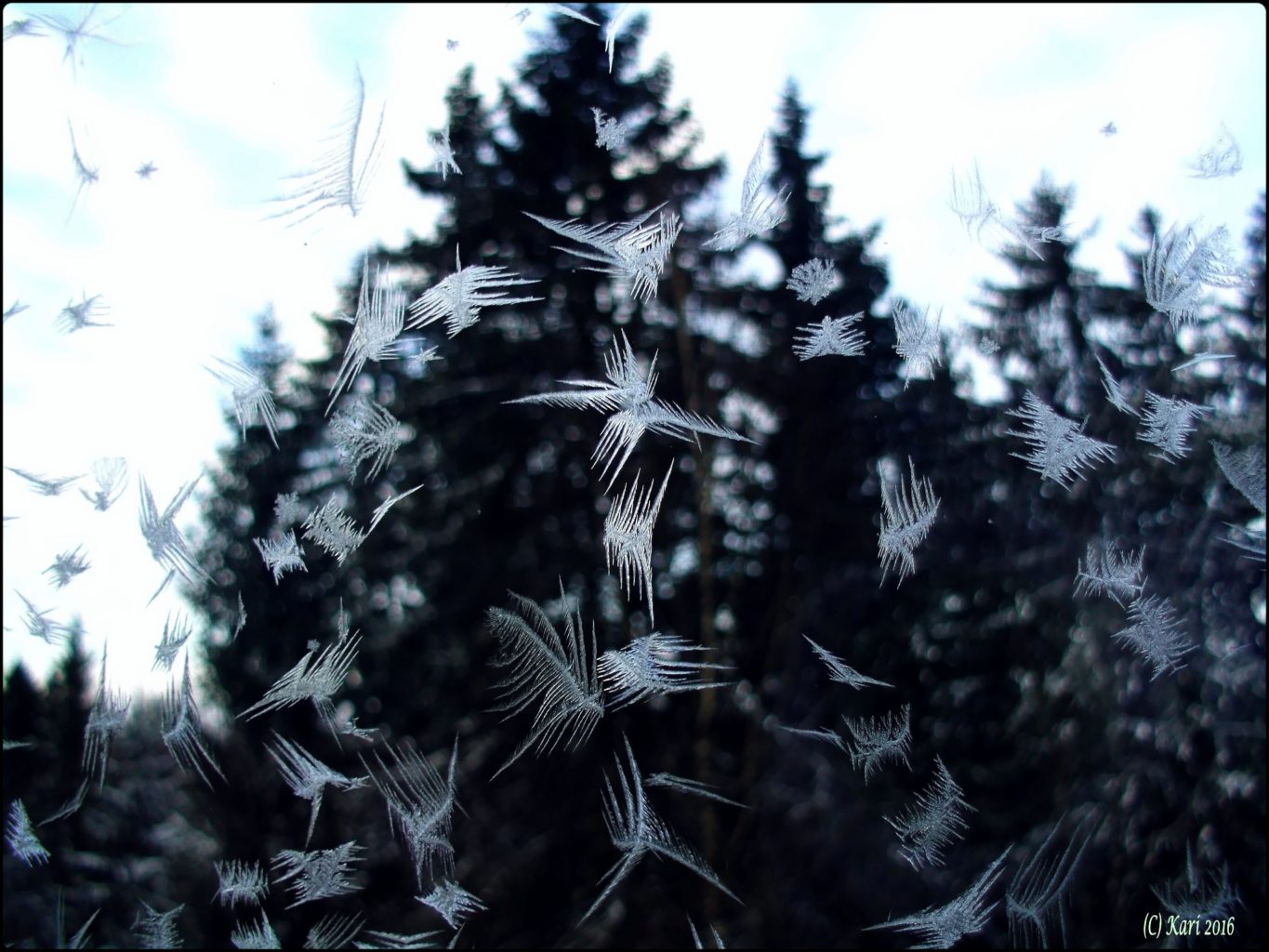 Valokuvaaja: Kari Saarinen