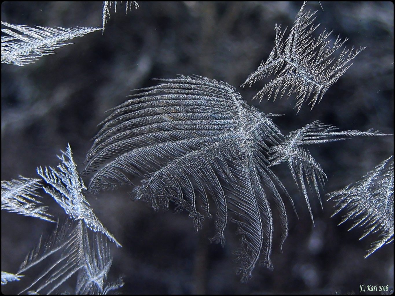 Valokuvaaja: Kari Saarinen