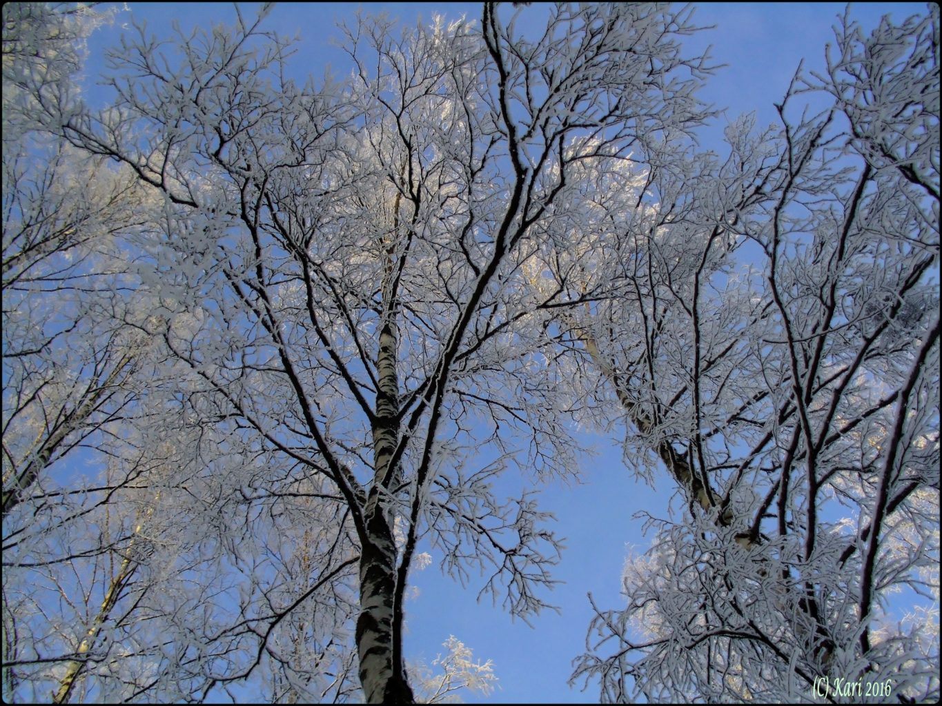Valokuvaaja: Kari Saarinen
