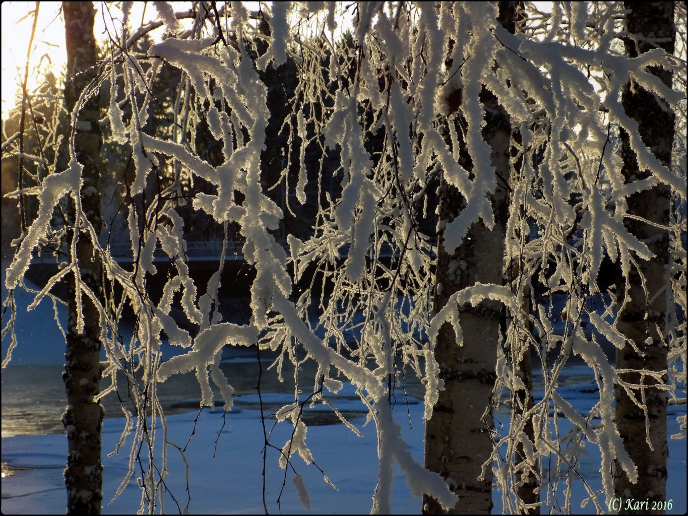 Valokuvaaja: Kari Saarinen