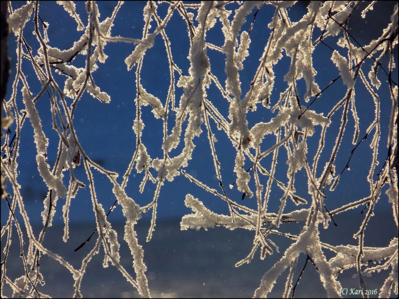 Valokuvaaja: Kari Saarinen