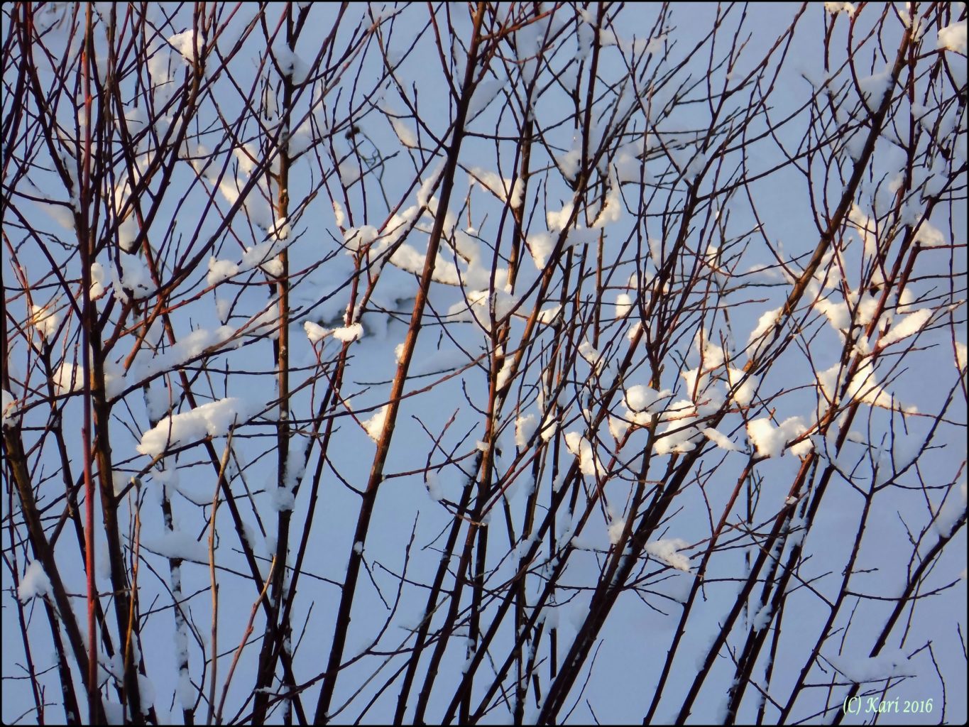 Valokuvaaja: Kari Saarinen