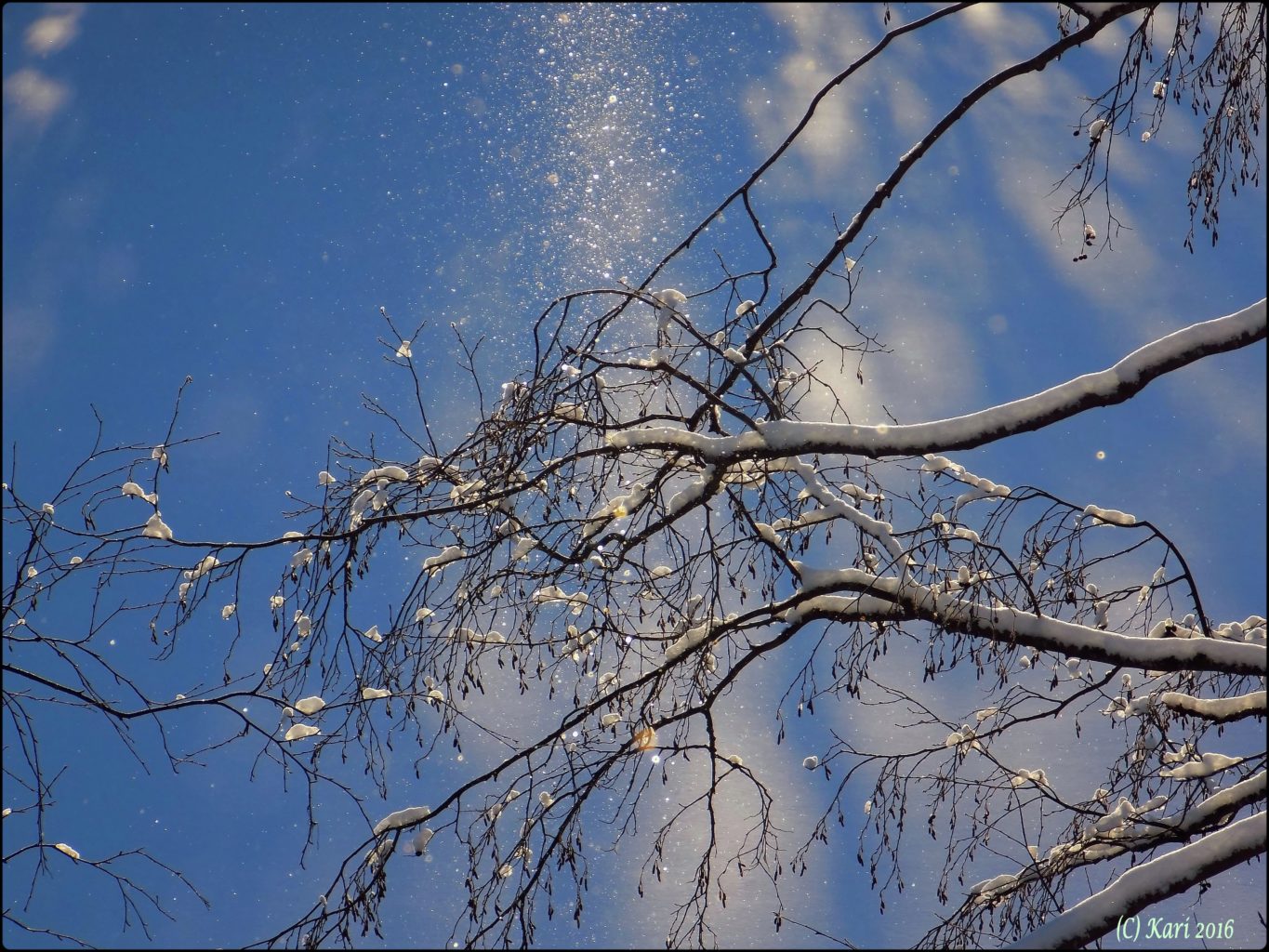 Valokuvaaja: Kari Saarinen Valokuvaaja: Kari Saarinen