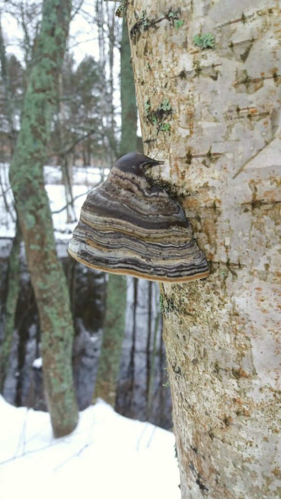 Valokuvaaja: Jukka Hirvonen