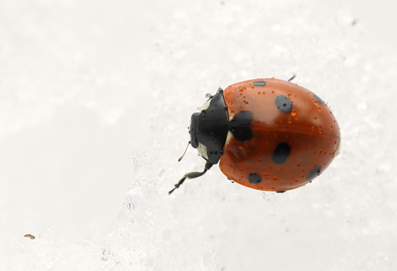 Valokuvaaja: Hanna Järvinen