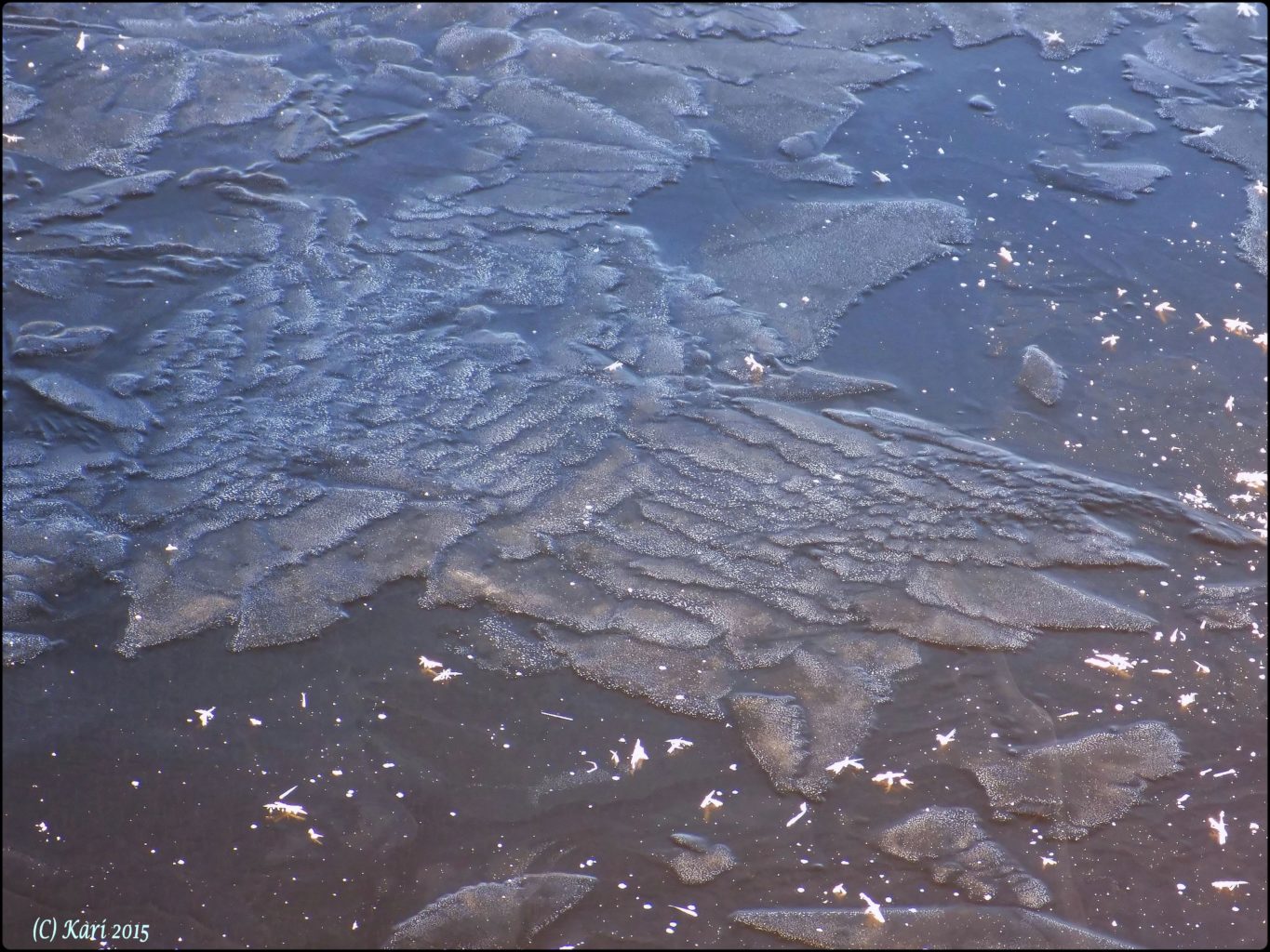 Valokuvaaja: Kari Saarinen