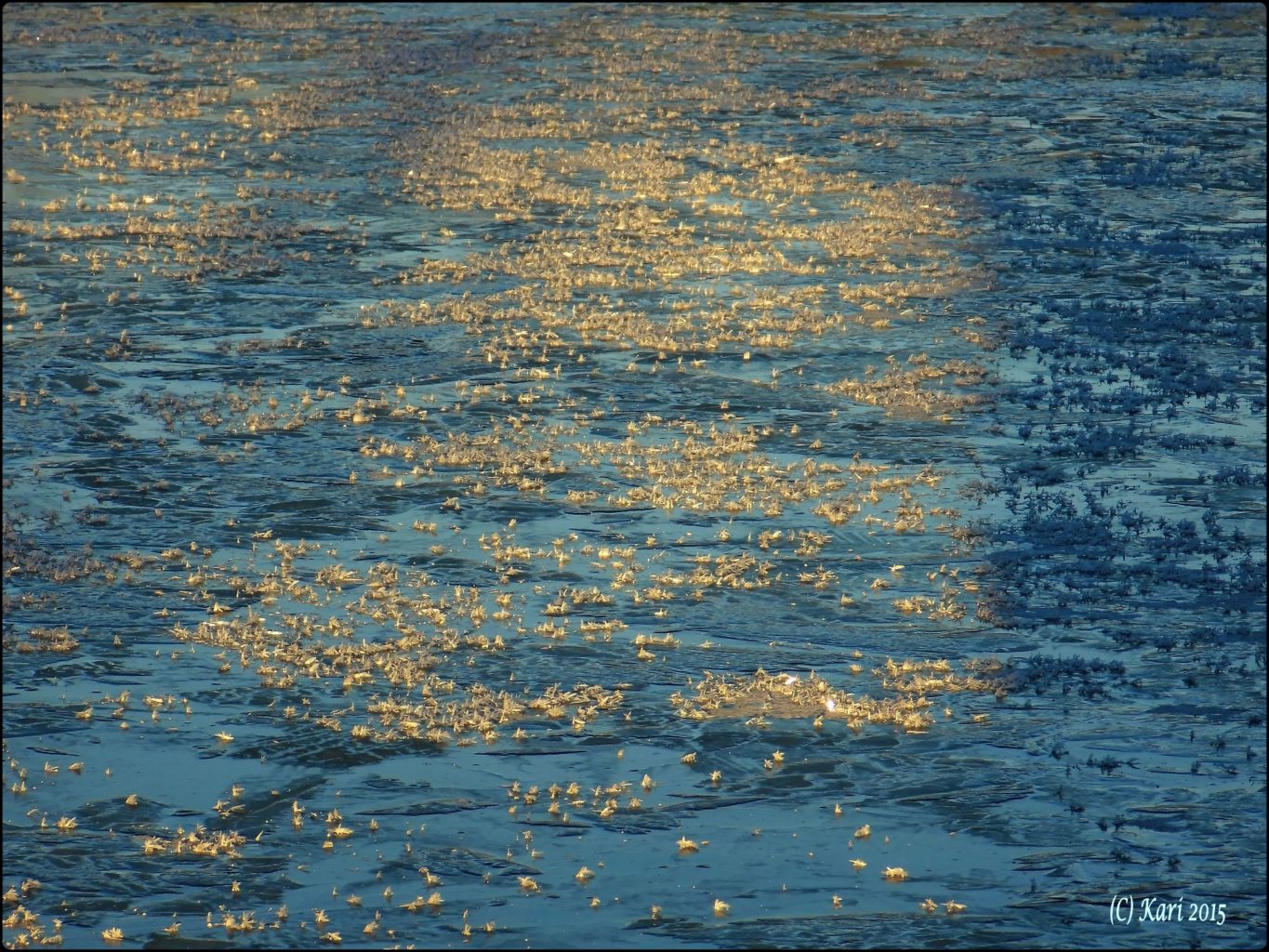 Valokuvaaja: Kari Saarinen Valokuvaaja: Kari Saarinen