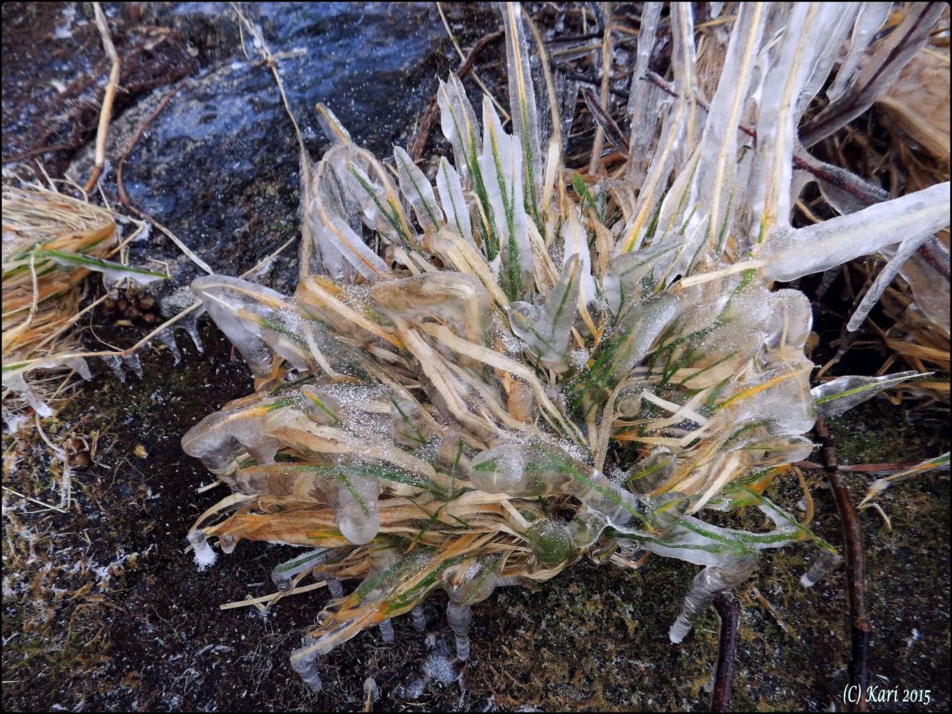 Valokuvaaja: Kari Saarinen