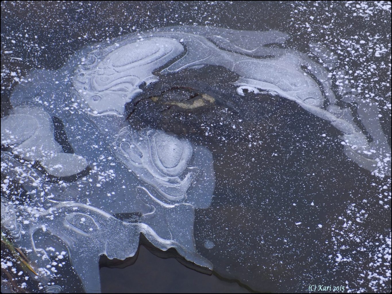 Valokuvaaja: Kari Saarinen