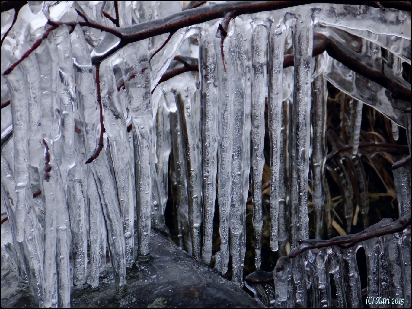 Valokuvaaja: Kari Saarinen