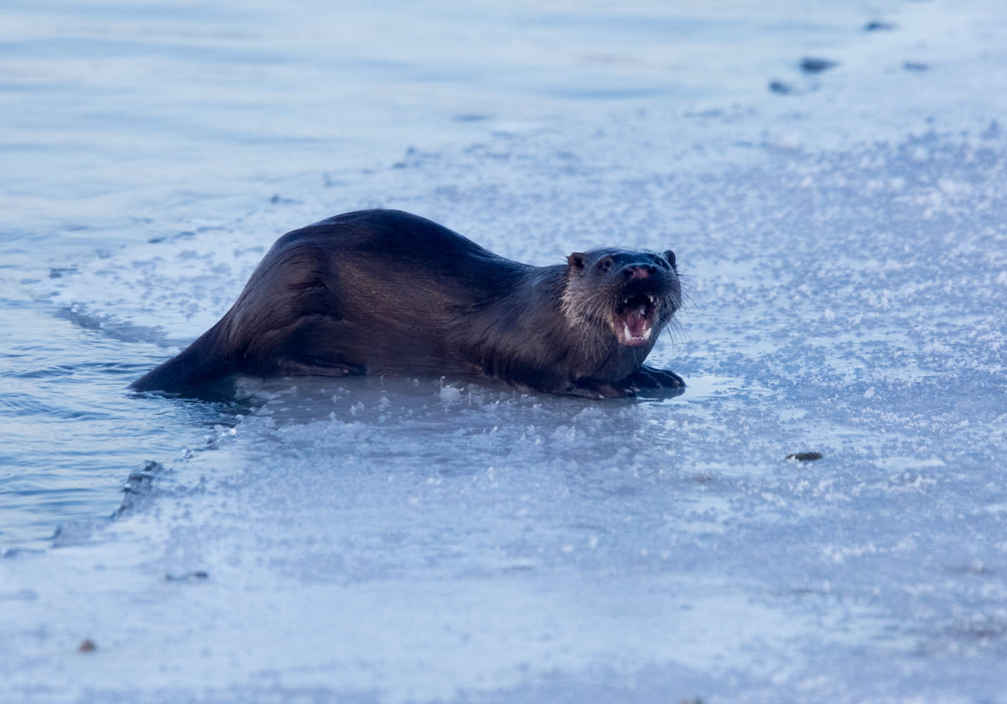 Valokuvaaja: Markku Salonen