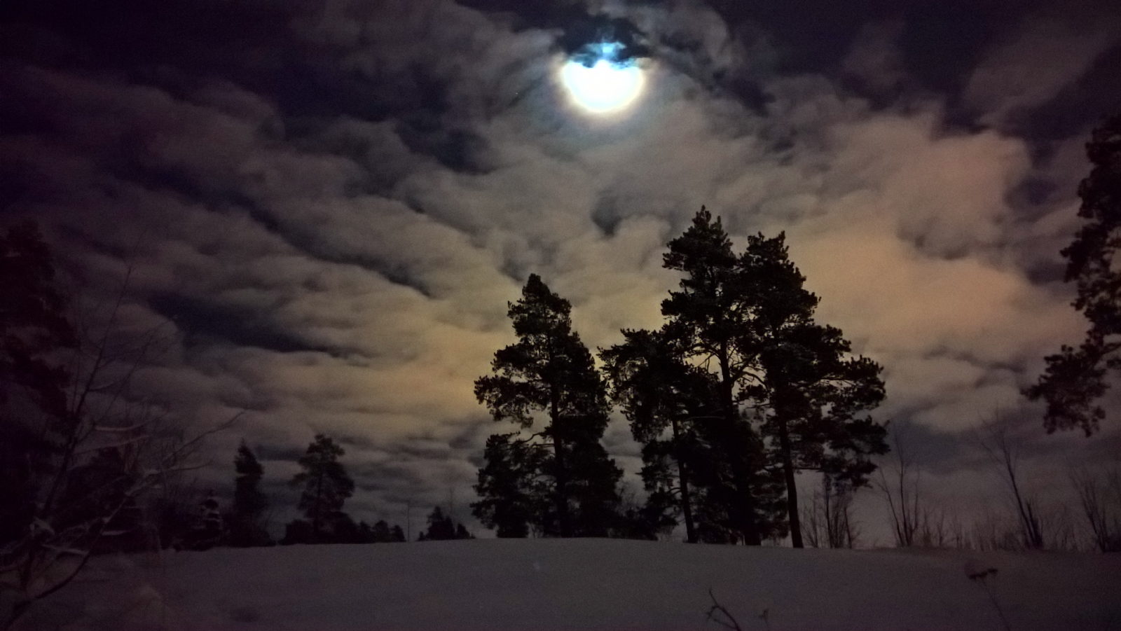 Valokuvaaja: Mia Vakkuri Valokuvaaja: Mia Vakkuri
