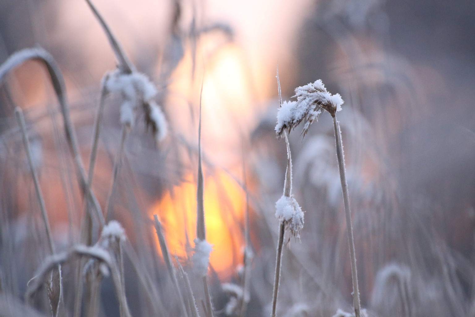 Valokuvaaja: Päivi Vikström