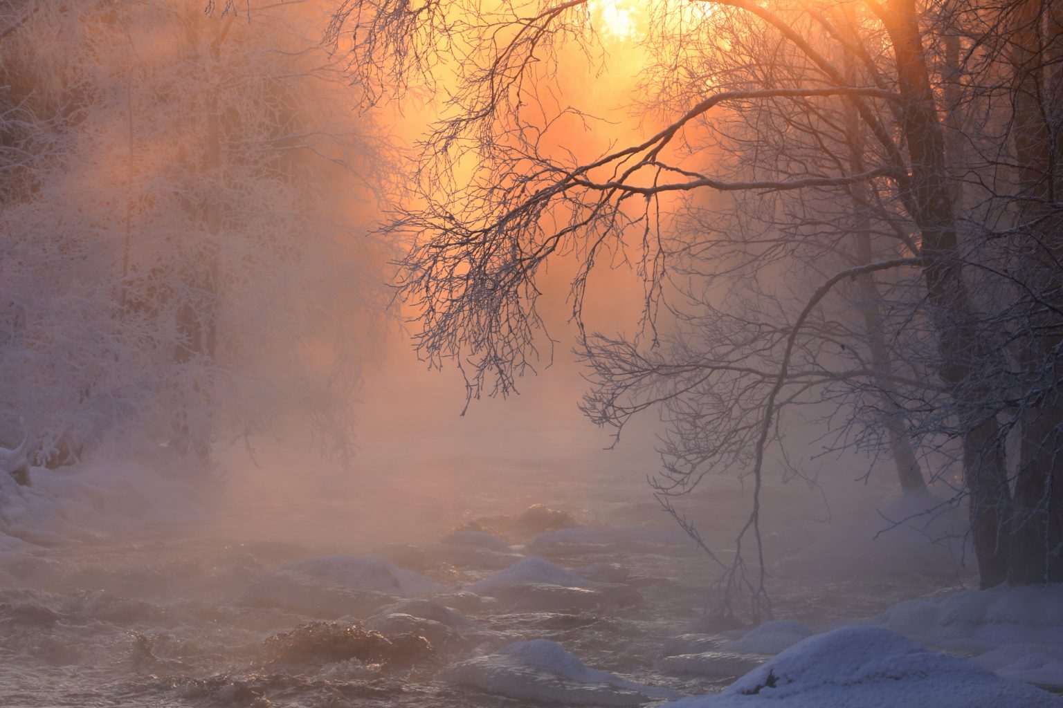 Valokuvaaja: Anne Moilanen
