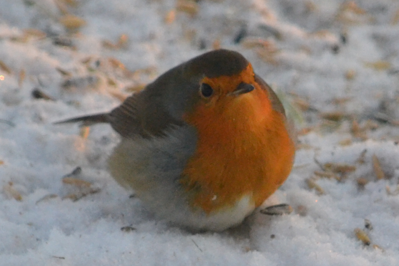 Valokuvaaja: Leena Latvala