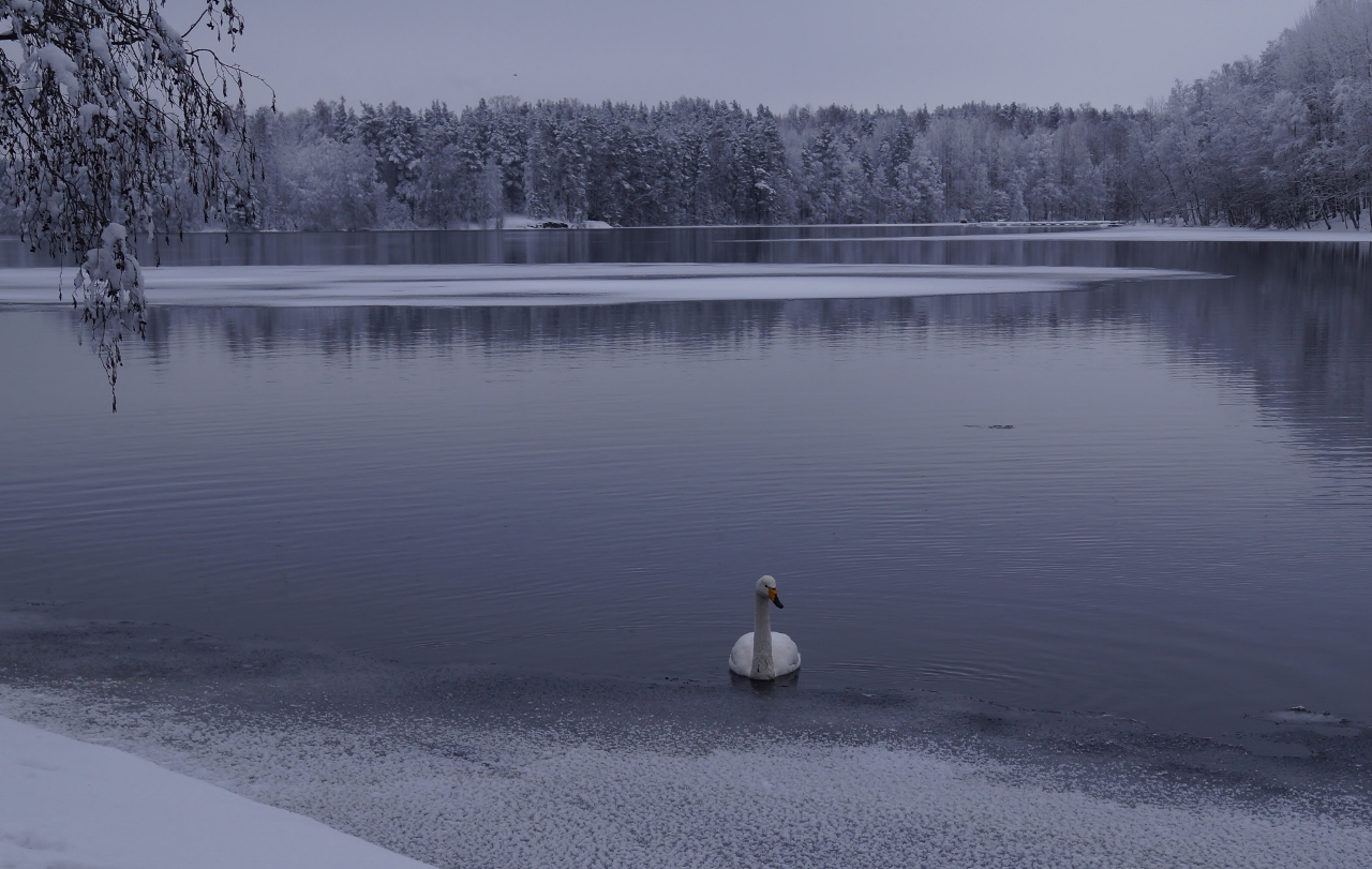 Valokuvaaja: Maarit Siitonen