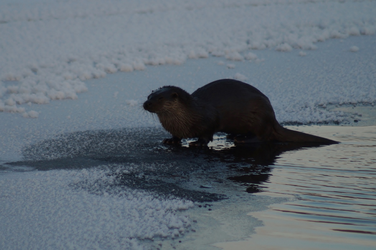 Valokuvaaja: Maarit Siitonen