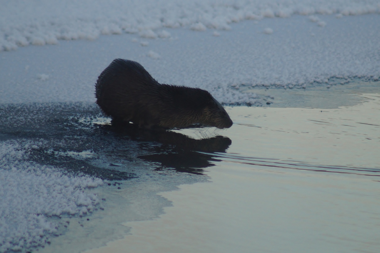 Valokuvaaja: Maarit Siitonen