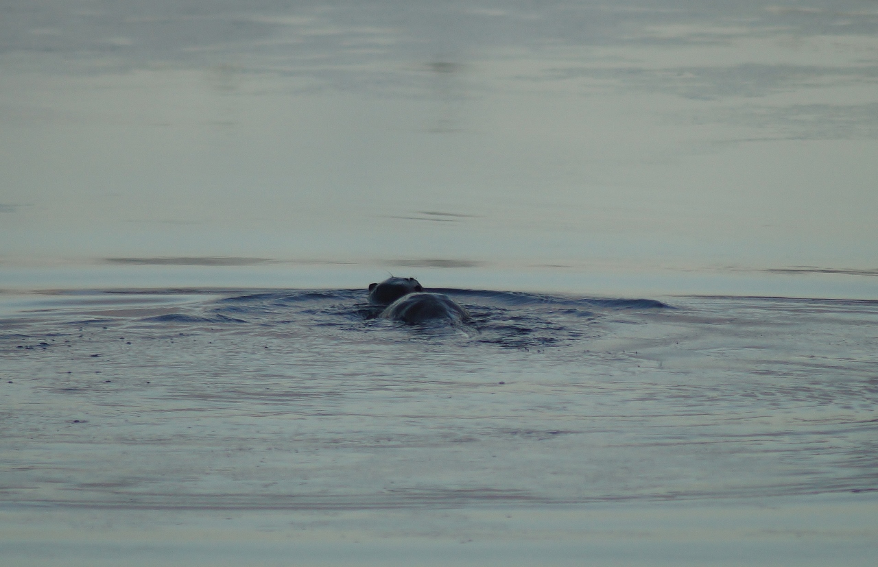 Valokuvaaja: Maarit Siitonen