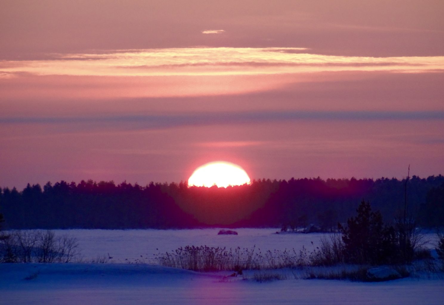 Valokuvaaja: Liisa Niiva-Korpela
