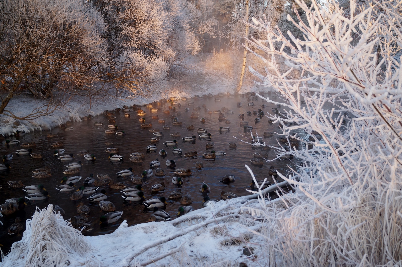 Valokuvaaja: Maarit Siitonen