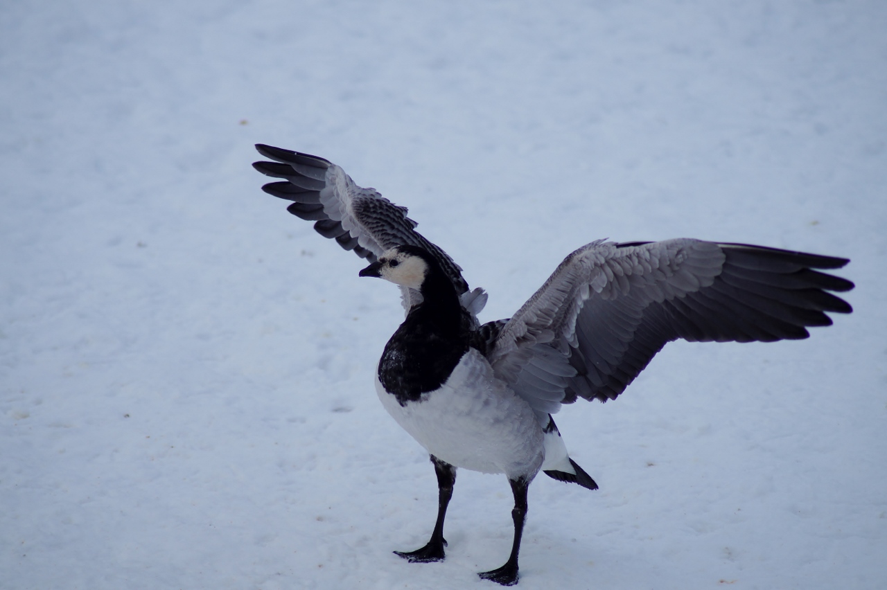 Valokuvaaja: Maarit Siitonen