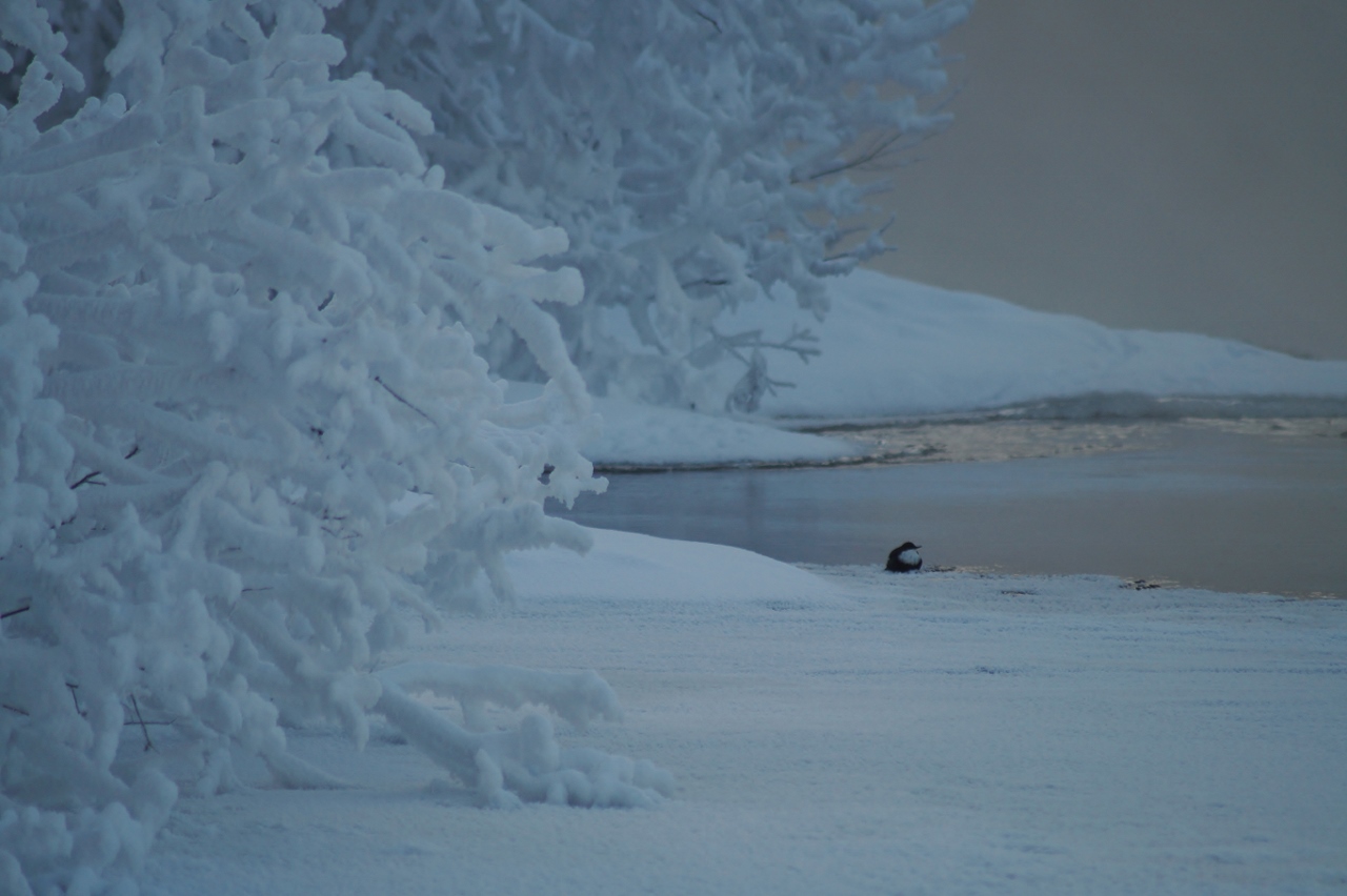 Valokuvaaja: Maarit Siitonen