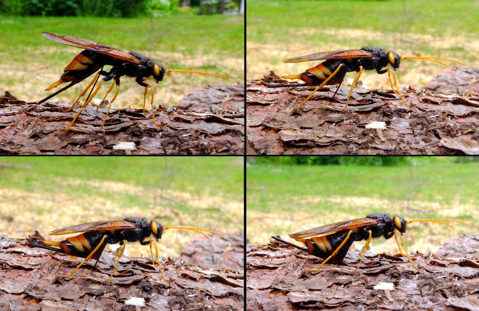 Valokuvaaja: Hannu Rasiranta Valokuvaaja: Hannu Rasiranta