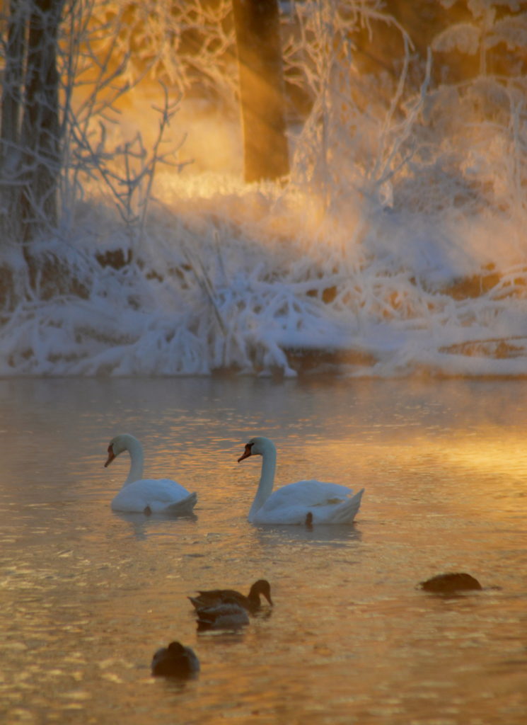 Valokuvaaja: Eija Varjola