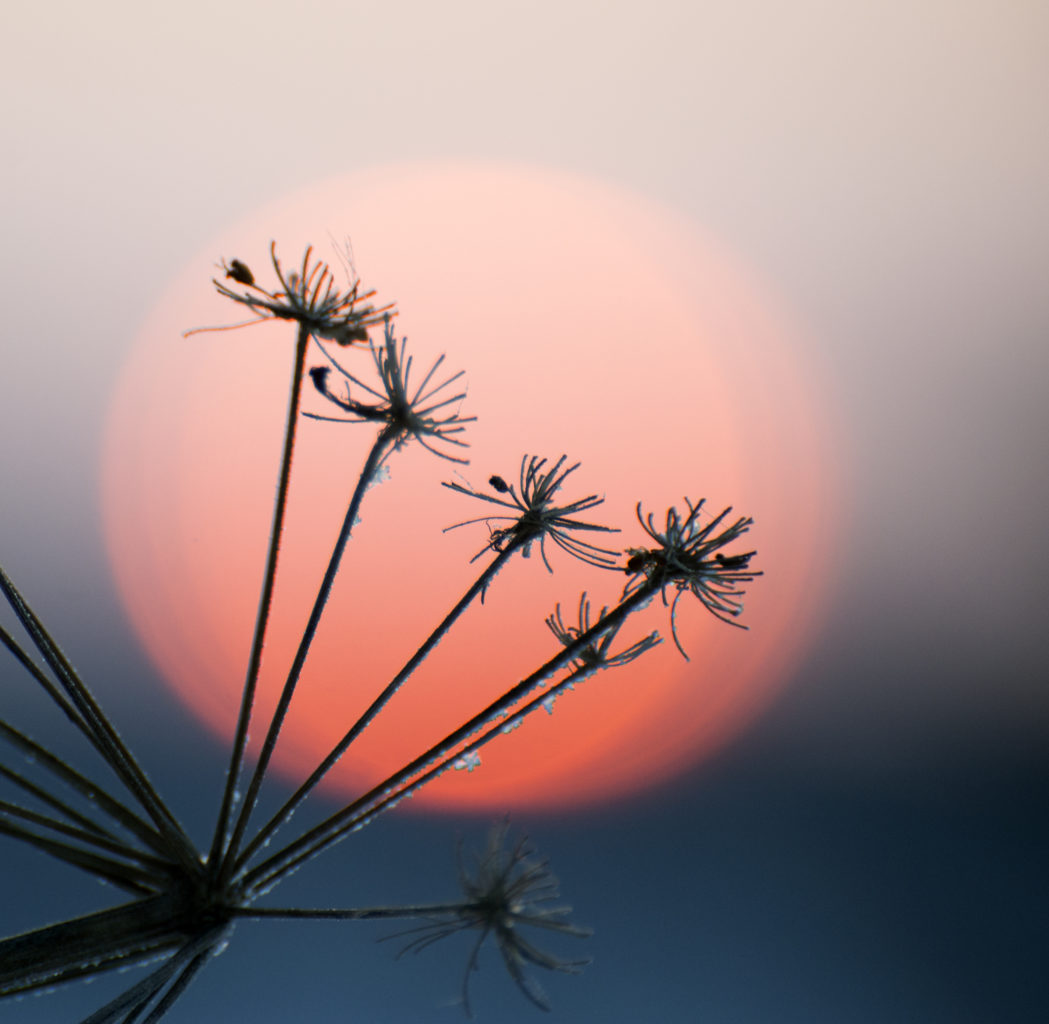 Valokuvaaja: Anu Tossavainen Valokuvaaja: Anu Tossavainen