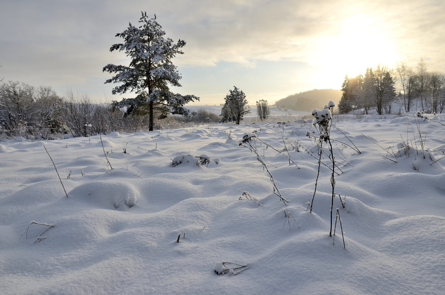 Valokuvaaja: Rauno Mäkinen