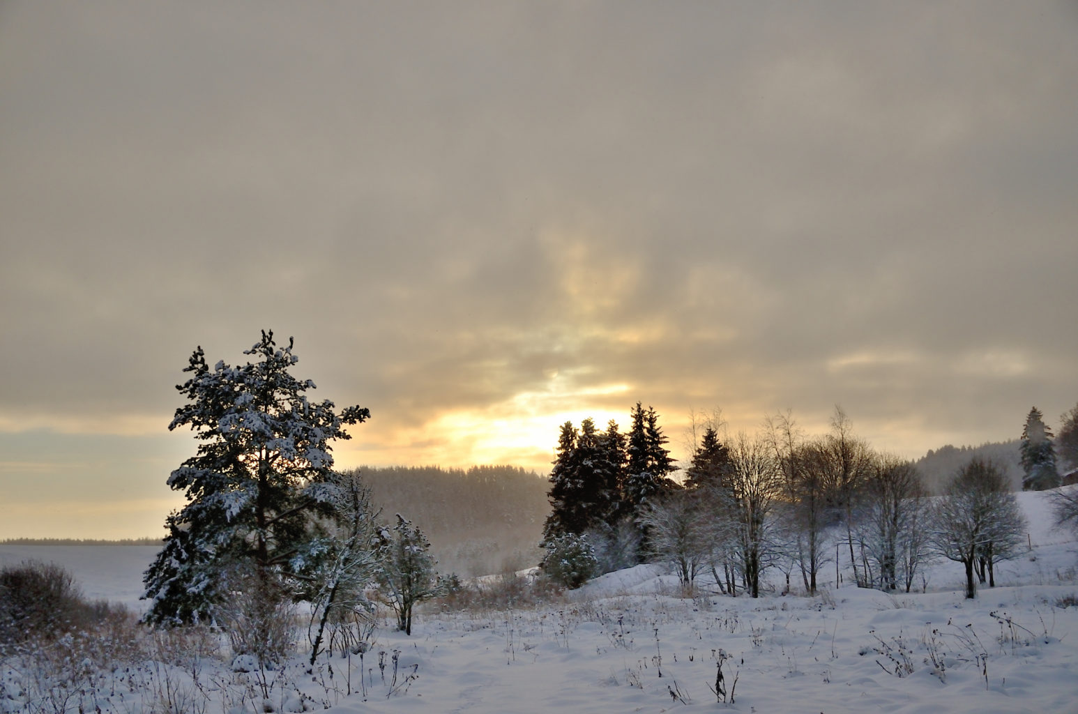 Valokuvaaja: Rauno Mäkinen