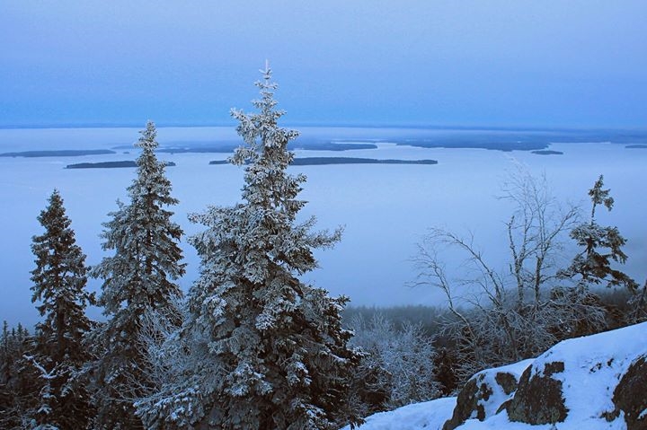Valokuvaaja: Paula Valokuvaaja: Paula