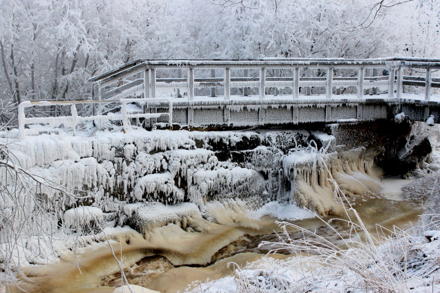 Valokuvaaja: Irja lehtinen