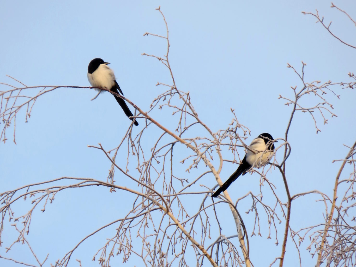 Valokuvaaja: Jaana Talvinen