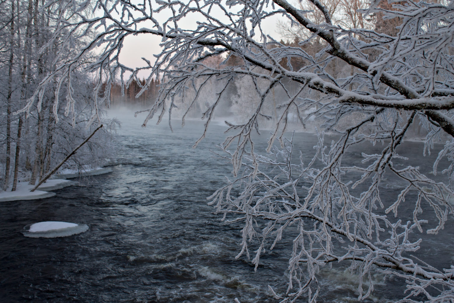 Valokuvaaja: Katri Niskanen