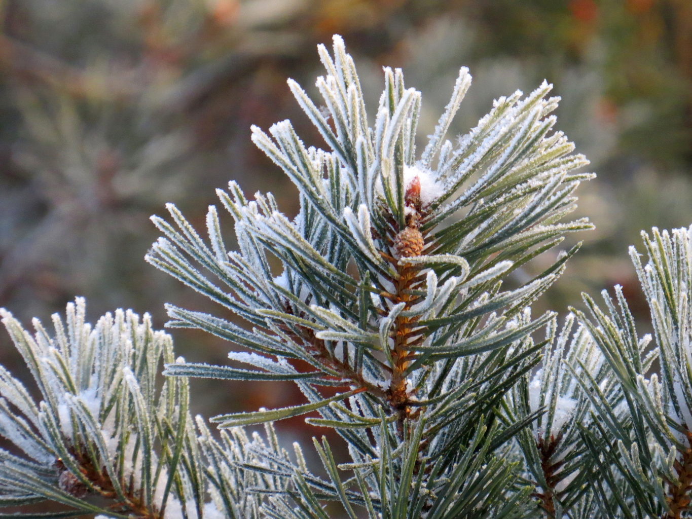 Valokuvaaja: Jaana Talvinen