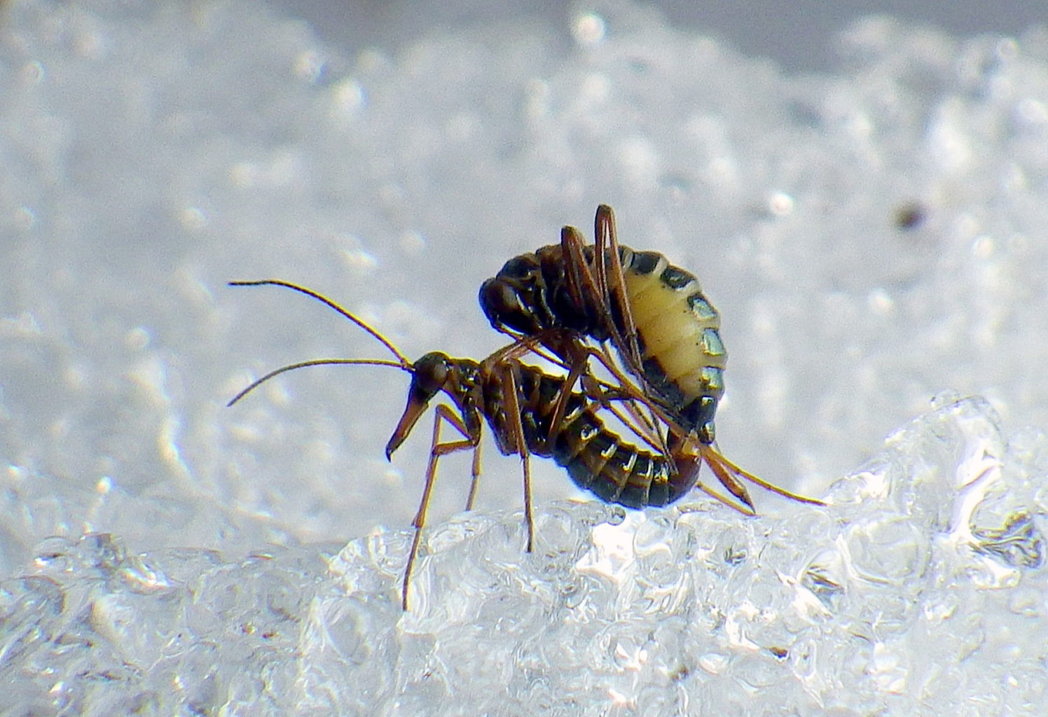 Valokuvaaja: Hannu Rasiranta