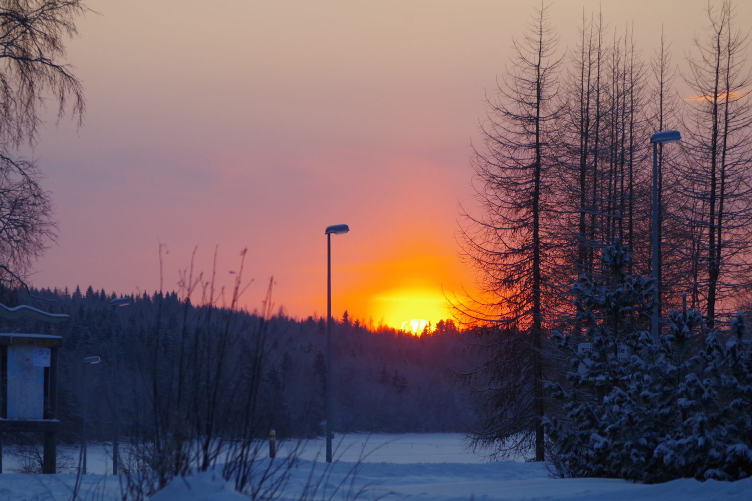 Valokuvaaja: Tuula Makkonen
