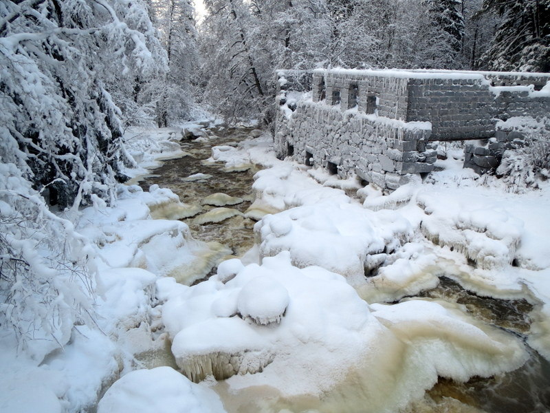 Valokuvaaja: Terttu Rantanen