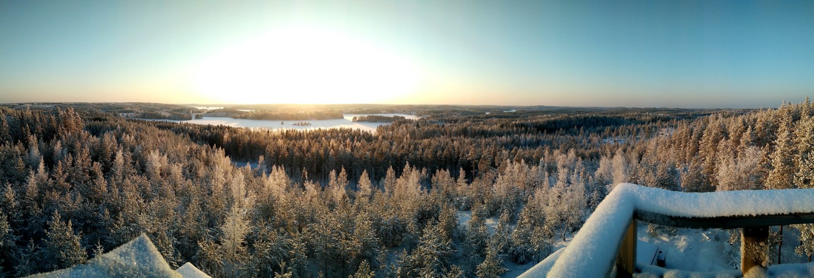 Valokuvaaja: Riina Kärki Valokuvaaja: Riina Kärki