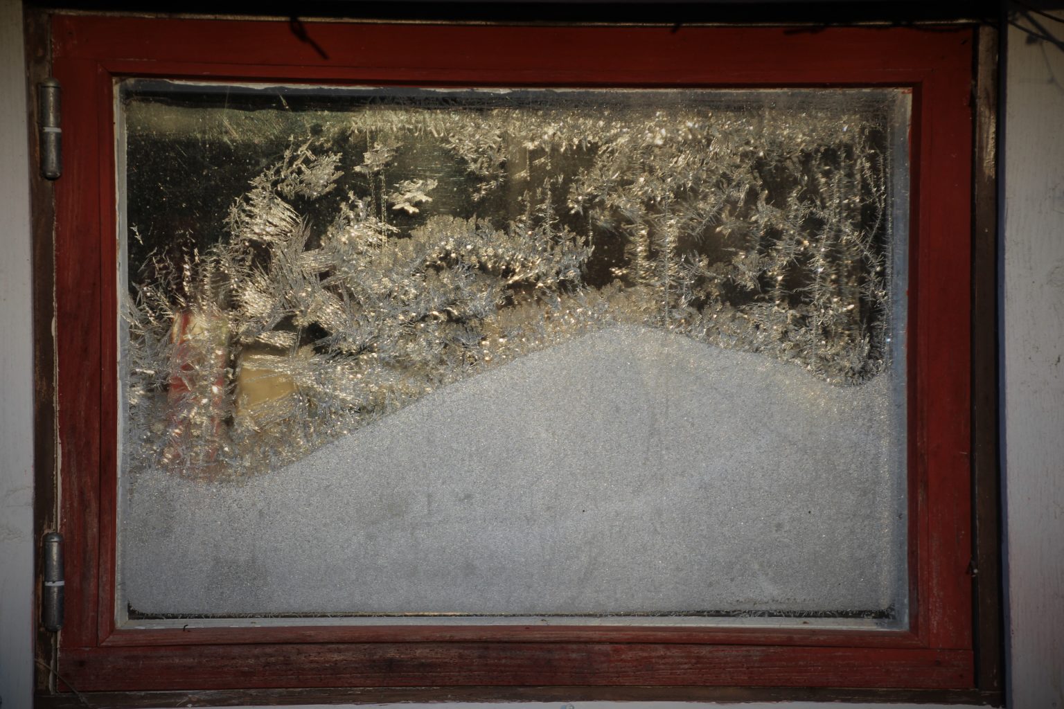 Valokuvaaja: Tiina Laihanen