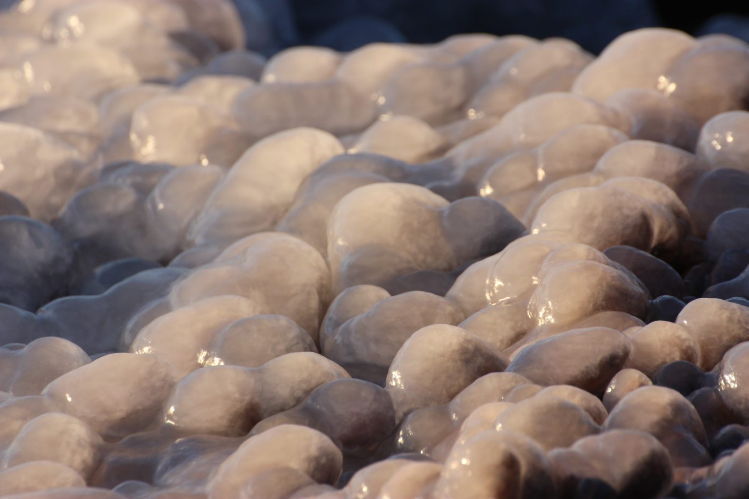 Valokuvaaja: Irja lehtinen