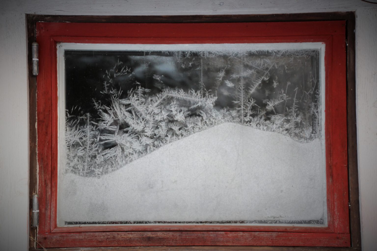 Valokuvaaja: Tiina Laihanen