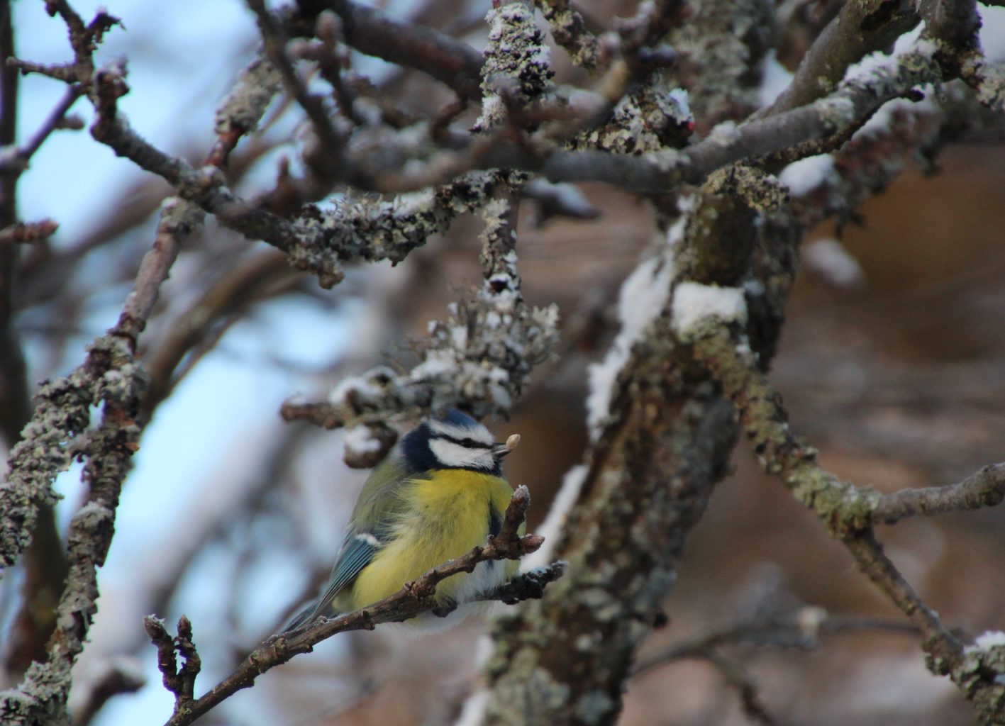 Valokuvaaja: Tiina Laihanen Valokuvaaja: Tiina Laihanen