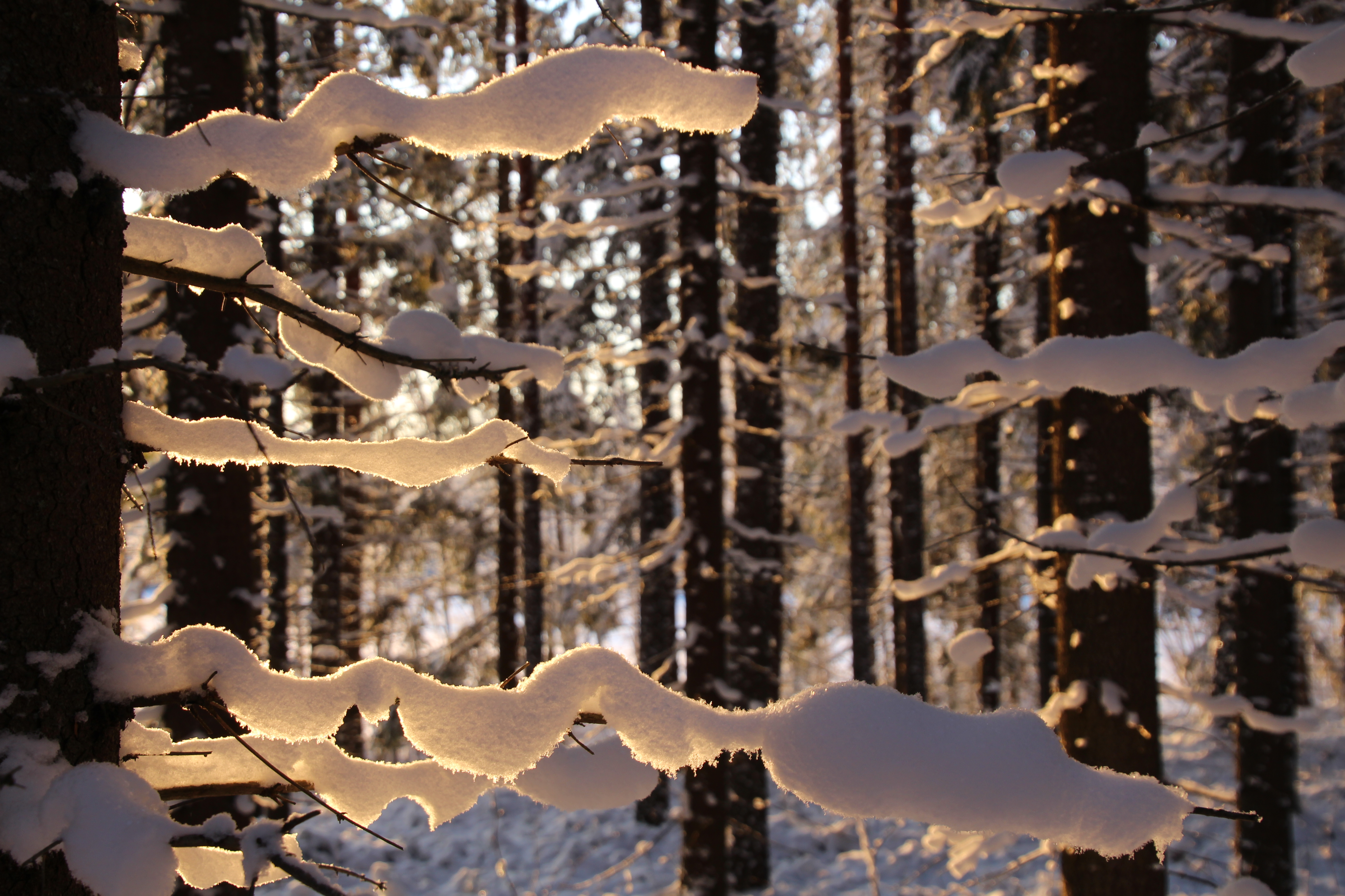 Valokuvaaja: Tiina Laihanen