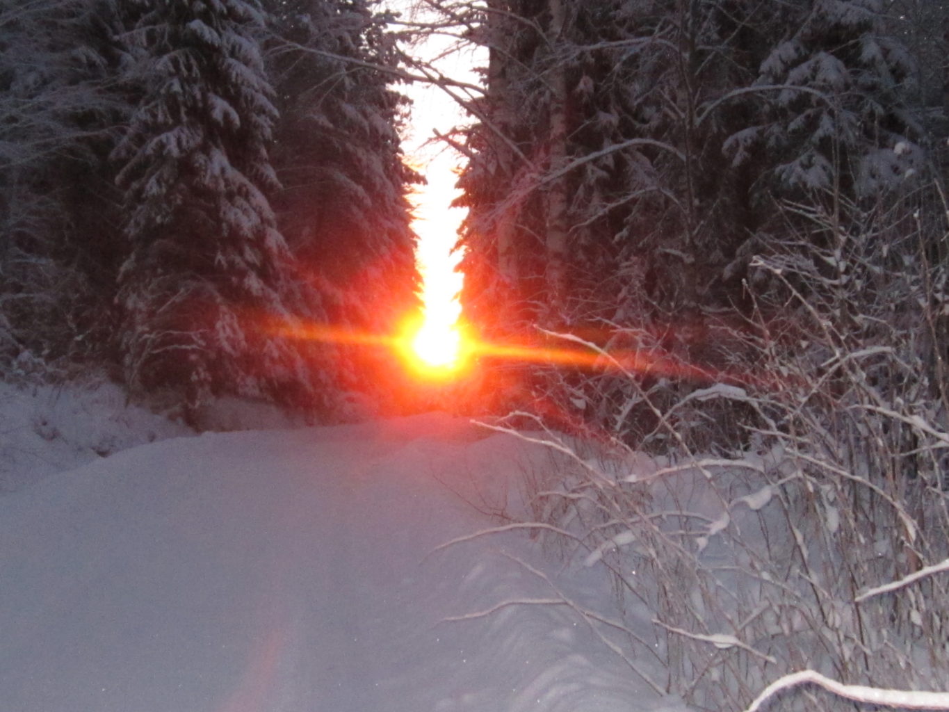 Valokuvaaja: Hannu Rissanen