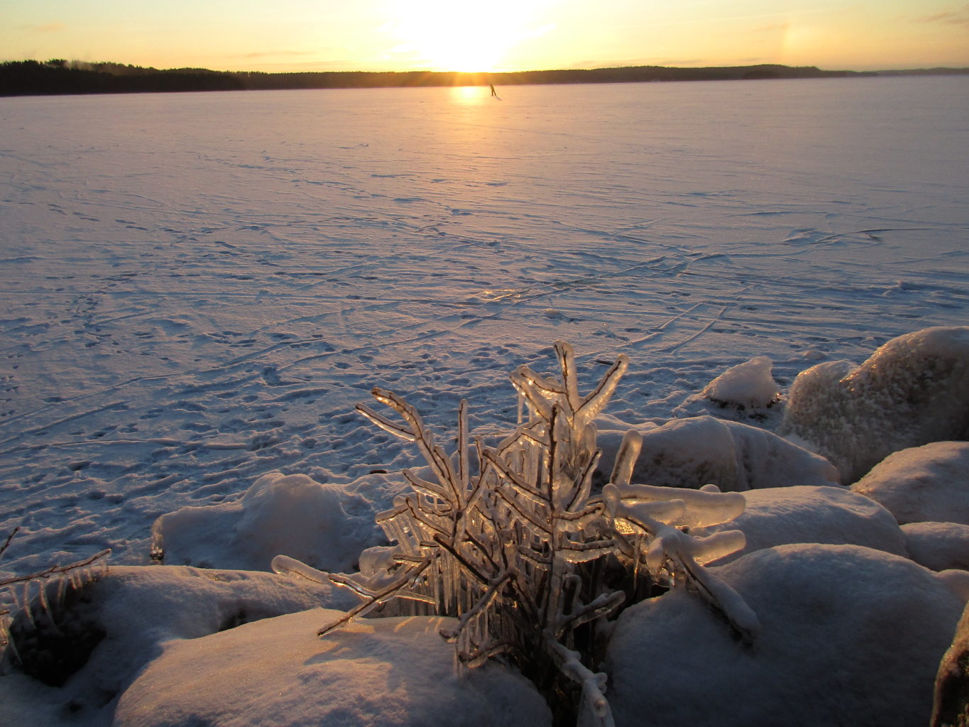 Valokuvaaja: Tiina Rautava Valokuvaaja: Tiina Rautava